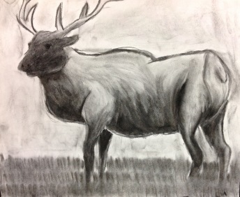 Jackie C., Charcoal, Inspired by Nature, Fall 2014